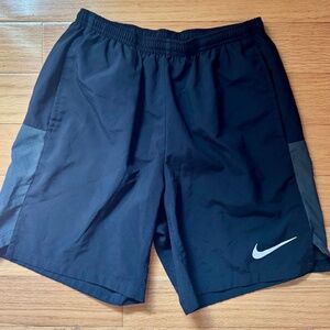 Nike Dri-Fit Shorts / Mens Size Small